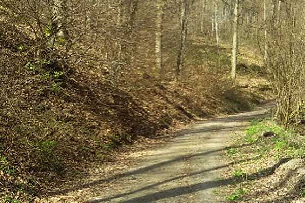 Alexandra von Aschoff Coaching und Supervision ZRM