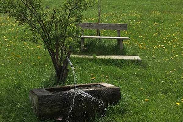 Alexandra von Aschoff Coaching und Supervision ZRM in Zierenberg